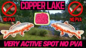 Russian Fishing 4 Active Spot NO PVA (Copper Lake)