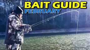 Top Lures You NEED for February Bass Fishing