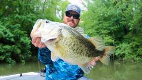 Frog Fishing And Topwater On Lake Chickamauga - Big Bass Caught!