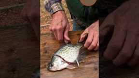 5 Steps to Filleting Crappie | Wild Resources #shorts