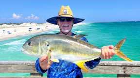 Epic Day Florida Pier Fishing and Cooking Whatever We Catch!