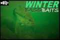 6 Proven Winter Bass Baits for Most