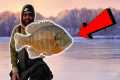 ICE FISHING for 3lb Bluegill!