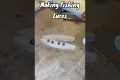 Making Fishing Lures - stick bait