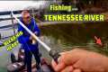 CATCHING FISH fishing THE TENNESSEE