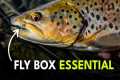 Fly Fishing’s Most Overlooked Flies | 