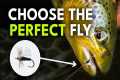 How to Pick the Right Fly Fishing