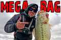 Catching 30LB MEGA BAG Bass Fishing