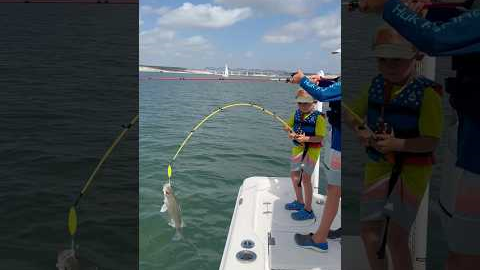 Get the net! #lake #fishing #lakeadventures #bassfishing #wilderness #bass #youtubeshorts