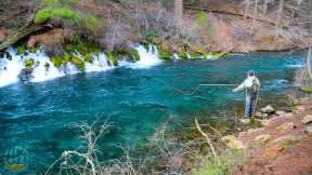 Fly Fishing for some of the coolest fish on the planet! (Bull Trout Pt. 1)