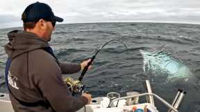 Fishing for GIANT Bluefin Tuna - Barrels of Portland !!