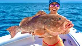 HOT Grouper Fishing | 50 Miles Offshore | Catch Clean Cook