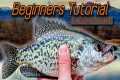 Beginner Friendly Fly Fishing for