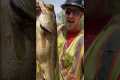 Rescuing Giant Bass from Drained Pond 