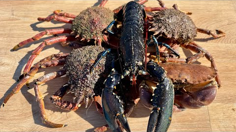 Fresh Seafood - BIG Crab Catch, Clean and Cook - Homemade Red Pepper Crab Cakes | The Fish Locker