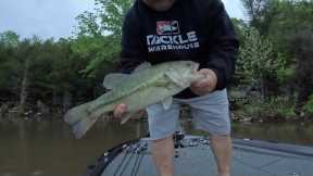 Table Rock Lake Bass fishing report May 1, 2025