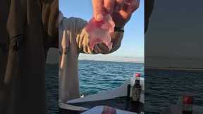 TUNA SASHIMI CATCH AND COOK