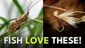 Master One of Fly Fishing’s Most Important Bugs | Ep. 128