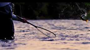 Arkansas River Fly Fishing Report May 2025| Buena Vista, Colorado
