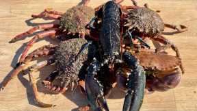 Fresh Seafood - BIG Crab Catch, Clean and Cook - Homemade Red Pepper Crab Cakes | The Fish Locker