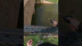 7 Minutes #fishing #outdoors