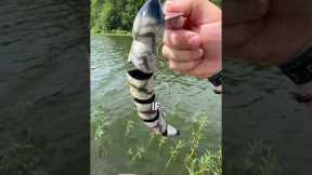 THE MOST INTIMIDATING LURE EVER MADE😨 #bassfishing #shorts #fishing