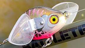 Clear Plastic Wings on a Fishing Lure | One Day Build to Catch