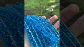 Making Baits at Home!💙#baitmaking #godfirst #bassfishing #marrking #lures #luremaking #creative