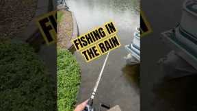 Fishing in the rain in my favorite. #fishing #bassfishing #fishingshorts