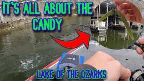 May Is For Spawning | Bass Fishing | Lake of the Ozarks