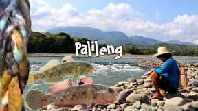 catch and cook BUNOG FISH | find  food for my family | biya, palileng,mori, goby fish