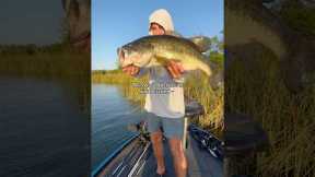 I’m glad I started THIS!🗣️🔥 #fishing #shorts