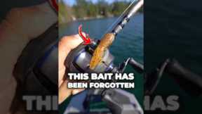 This Forgotten Bait STILL Crushes Bass! #fishing