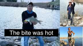 Mus nuv ntses North Dakota May 2025 || Devils Lake White Bass fishing ||