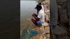 Catching Tasty Fishes in Lake #fishing #fishingvideos #thoondilulagam #lakefishing