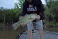 Table Rock Lake Bass fishing report
