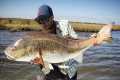 FLY FISHING FOR REDFISH BASICS 101