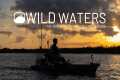 Wild Waters: Louisiana Redfish Meet