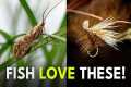 Master One of Fly Fishing’s Most