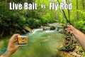 Fly Fishing vs Live Bait: Which is