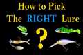 How to Pick the Right Fishing Lure