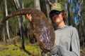 Hunting MONSTER Flathead On BIG Lures!