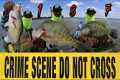 I Murdered The Crappie on This