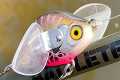 Clear Plastic Wings on a Fishing Lure 