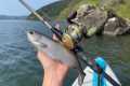 5 Hours Of Fishing On Lake Biwa, Japan