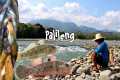 catch and cook BUNOG FISH | find 