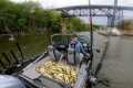 Lake Erie Yellow Perch Fishing – Best 