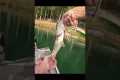 Belews Lake NC Bass fishing 4/25/25
