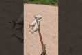 Catching dinner with hand made spear