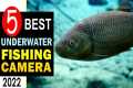 Best Underwater Fishing Camera